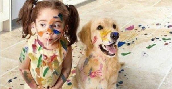 FORMAZIONE DEGLI OPERATORI CHE LAVORANO NELLE EQUIPE PER GLI INTERVENTI ASSISTITI CON GLI ANIMALI (IAA) – PET THERAPY –